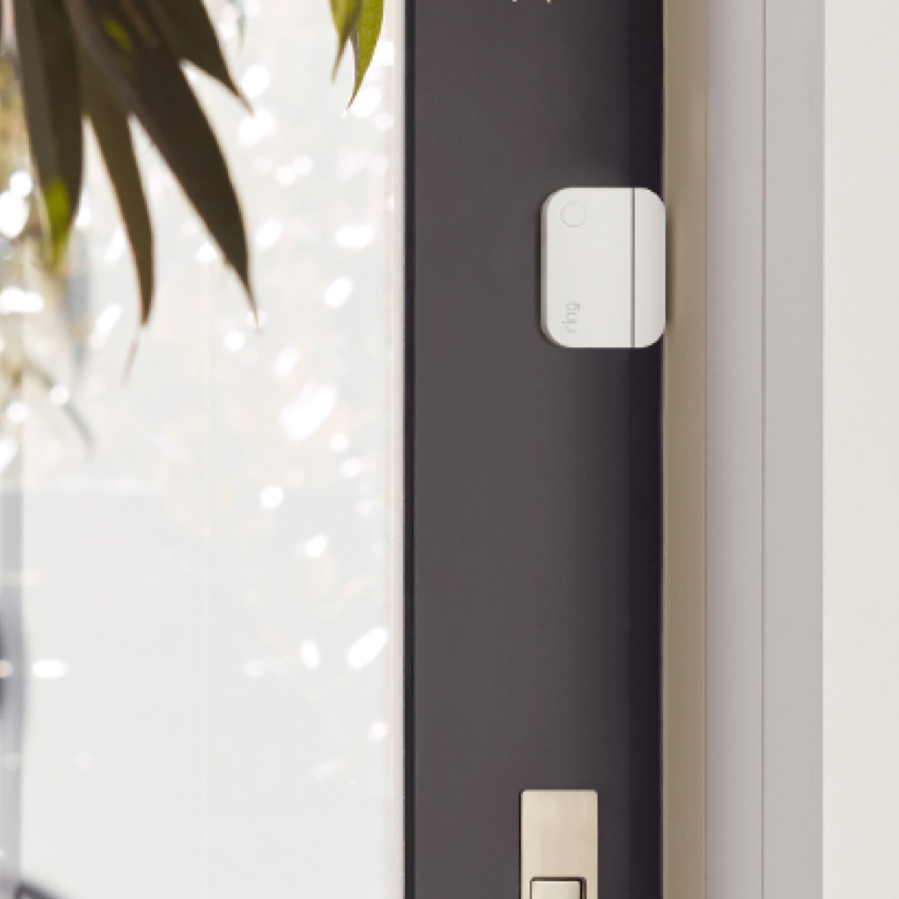 Alarm Window and Door Contact Sensor - White Ring Alarm Window and Door Contact Sensor mounted on a dark door frame with a frosted glass window visible.