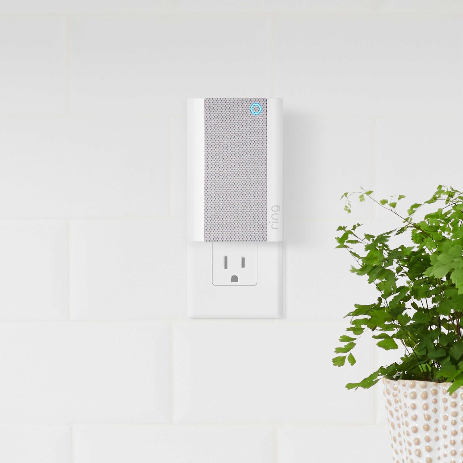 Chime Pro - Ring Chime Pro plugged into outlet on white brick wall, with a plant in a basket partially visible in the foreground.