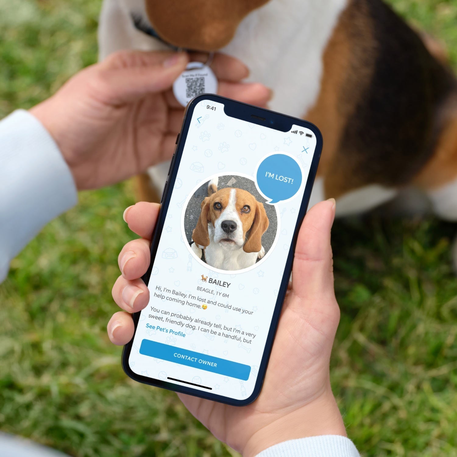Pet Tag - Person holds a smartphone showing a lost dog alert for a beagle named Bailey, with a Ring Pet Tag QR code visible on the dog's collar in the background.