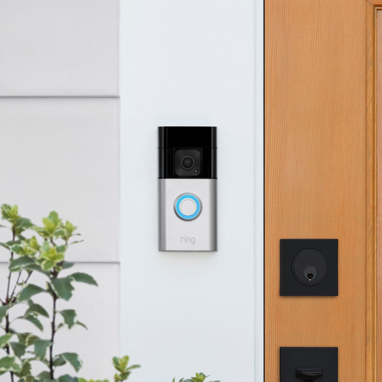 Bestselling Advanced Kit (Battery Doorbell Plus + Spotlight Cam Plus Battery) - Ring Battery Doorbell Plus mounted next to a wooden front door with plants nearby.
