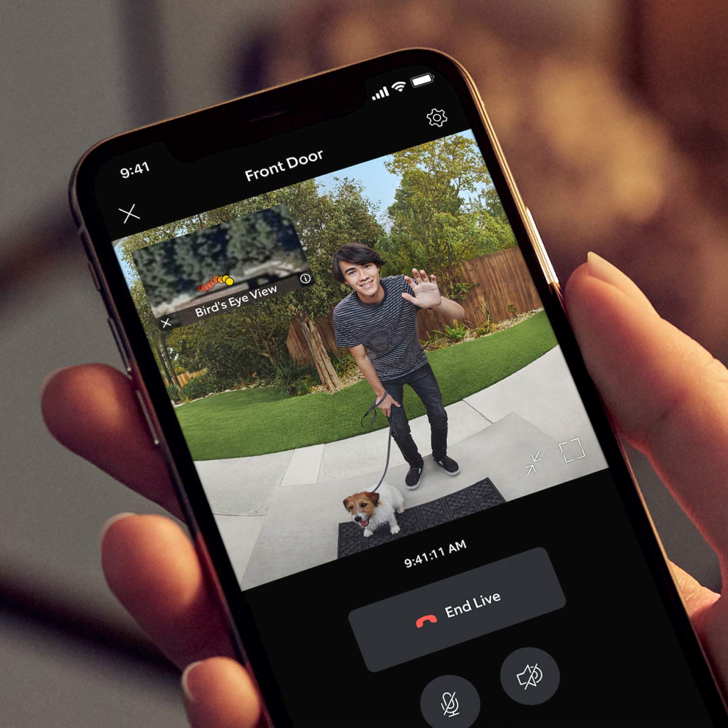 Wired Doorbell Pro (Video Doorbell Pro 2) (Certified Refurbished) - Phone screen showing Ring live view of man with dog at front door and Bird's Eye View motion path inset.
