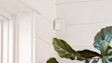 White Ring Motion Detector mounted on wall near window blinds