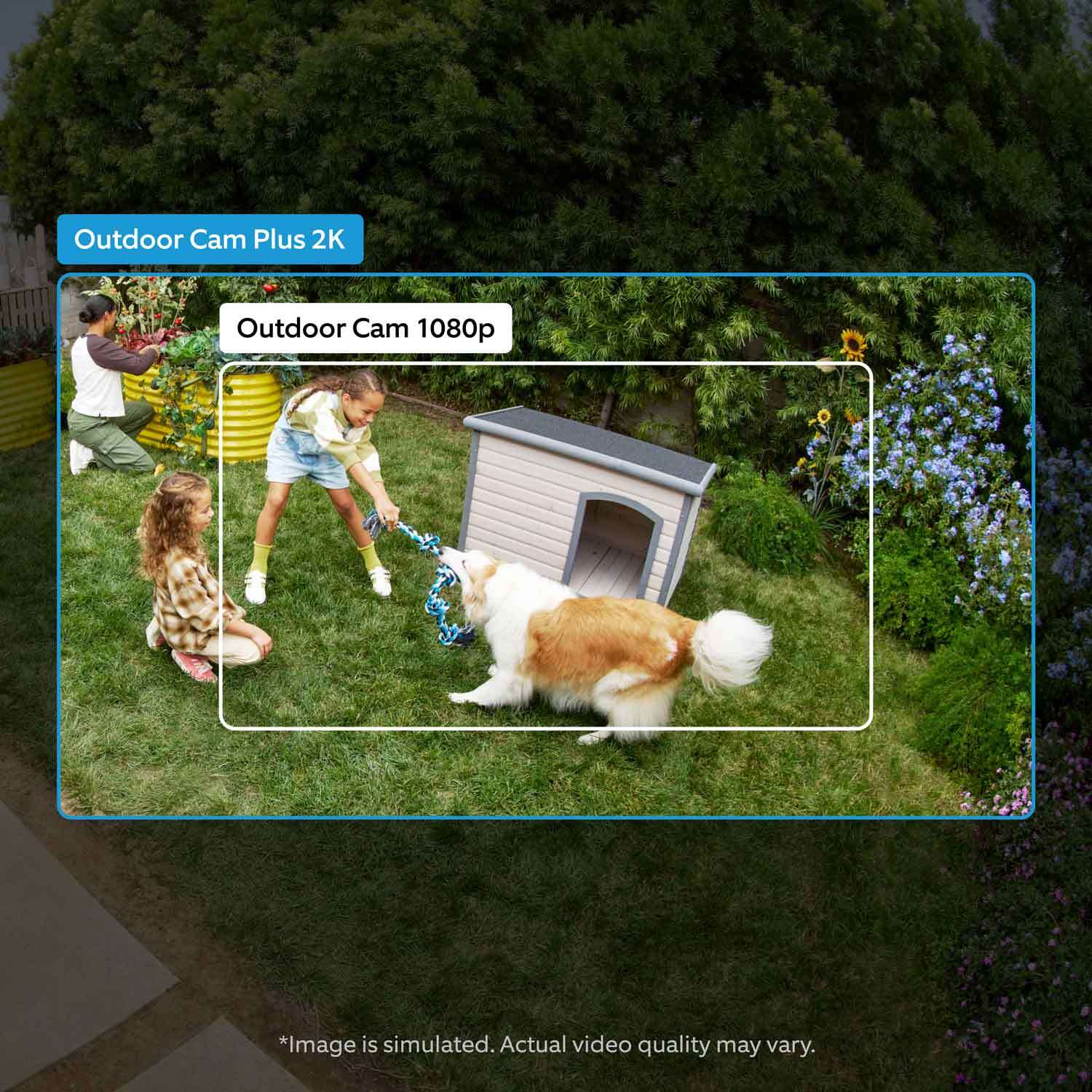 Outdoor Cam Plus (Featuring Retinal 2K)  - Solar:A girl playing tug-of-war with a dog shown in an outdoor cam 1080 p resolution in comparisson to outdoor cam plus 2k, which shows a wider field of view.